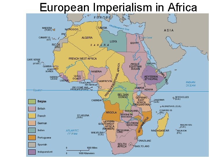 European Imperialism in Africa 