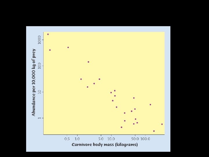 Size and abundance of carnivores Size and abundance of carnivores