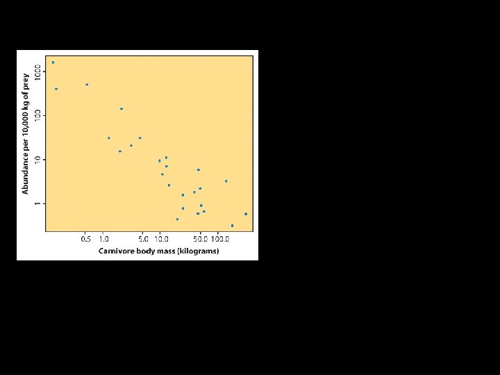 Abundance of carnivores Correlation tells us about strength (scatter) and direction of the linear Abundance of carnivores Correlation tells us about strength (scatter) and direction of the linear