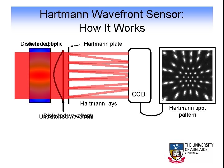 Hartmann Wavefront Sensor: How It Works Undistorted Distorted optic Hartmann plate CCD Hartmann rays
