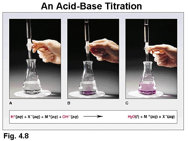 An Acid-Base Titration Fig. 4. 8 