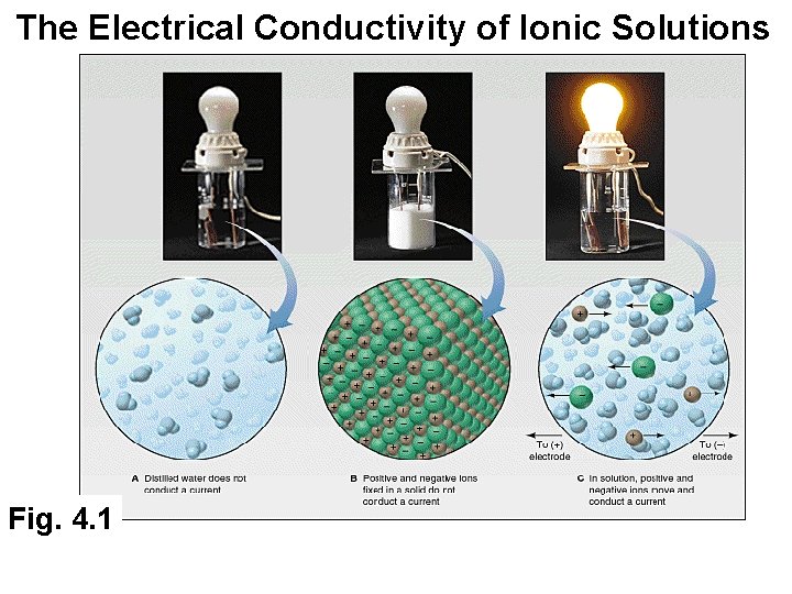 The Electrical Conductivity of Ionic Solutions Fig. 4. 1 