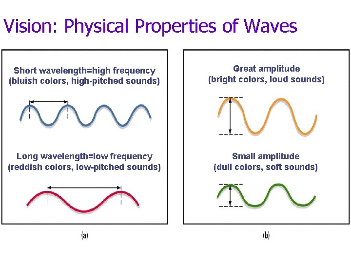 Vision: Physical Properties of Waves Short wavelength=high frequency (bluish colors, high-pitched sounds) Great amplitude