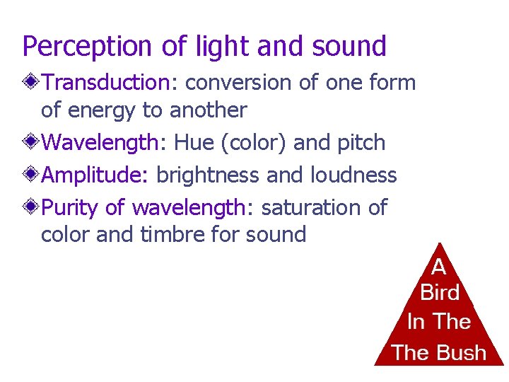 Perception of light and sound Transduction: conversion of one form of energy to another