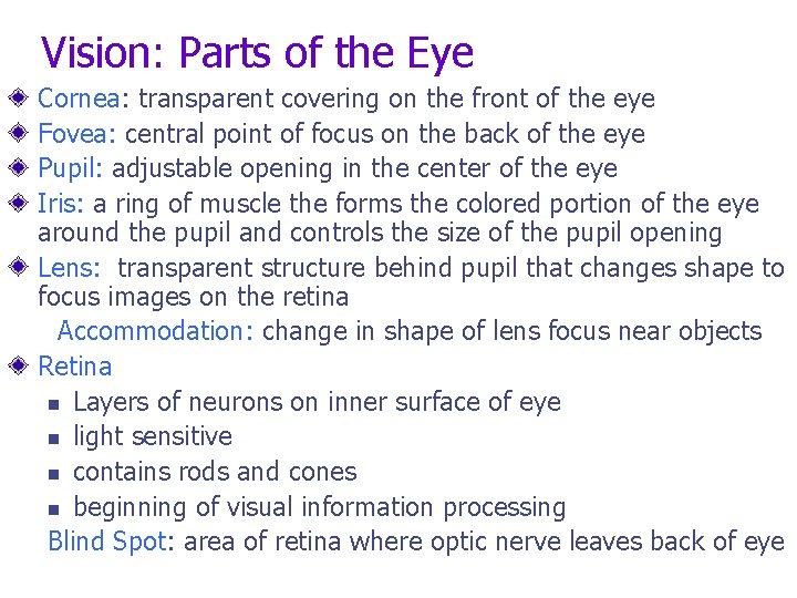 Vision: Parts of the Eye Cornea: transparent covering on the front of the eye