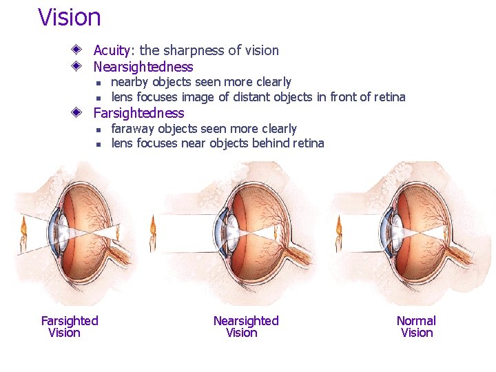 Vision Acuity: the sharpness of vision Nearsightedness n n nearby objects seen more clearly