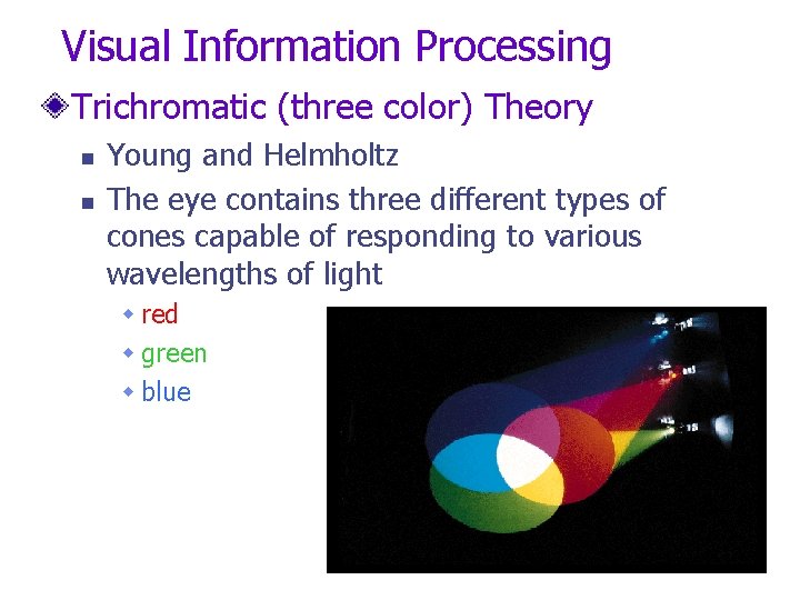 Visual Information Processing Trichromatic (three color) Theory n n Young and Helmholtz The eye