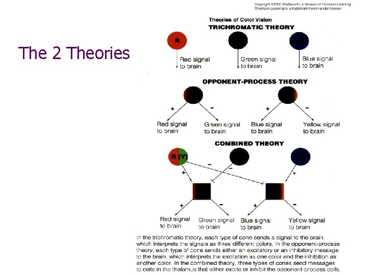 The 2 Theories 