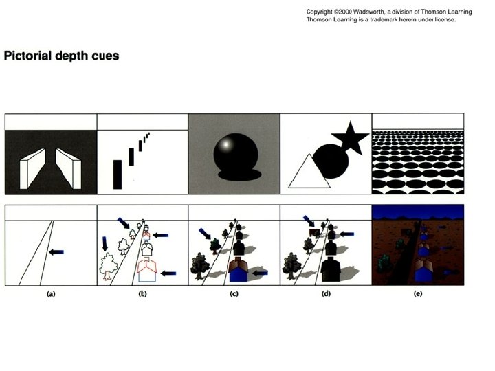 Pictorial depth cues 