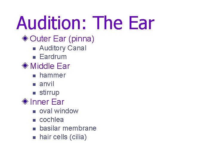 Audition: The Ear Outer Ear (pinna) n n Auditory Canal Eardrum Middle Ear n