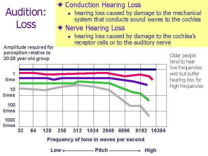 Conduction Hearing Loss Audition: Loss n hearing loss caused by damage to the mechanical