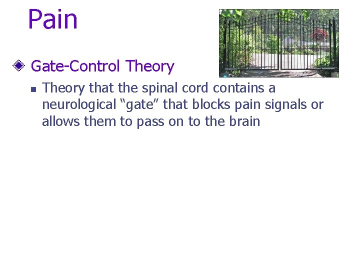 Pain Gate-Control Theory n Theory that the spinal cord contains a neurological “gate” that