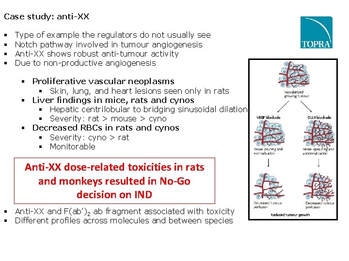 Case study: anti-XX Type of example the regulators do not usually see Notch pathway Case study: anti-XX Type of example the regulators do not usually see Notch pathway