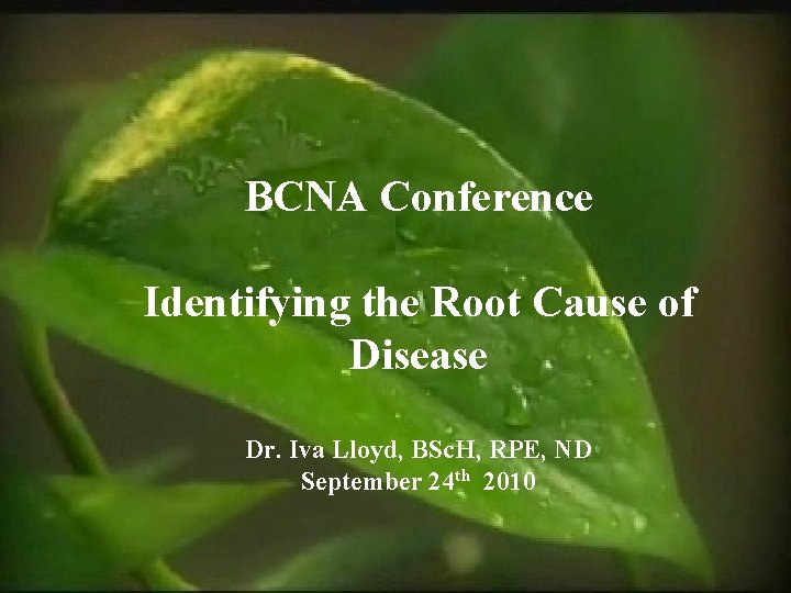 CAND Orientation 2004 BCNA Conference Identifying the Root Cause of Disease Dr. Iva Lloyd,