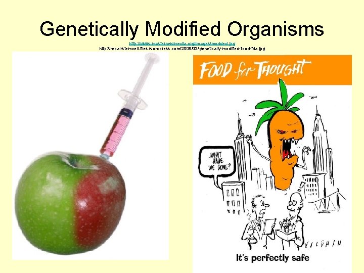 Genetically Modified Organisms http: //www. masternewmedia. org/images/modded. jpg http: //repairstemcell. files. wordpress. com/2009/03/genetically-modified-food-fda. jpg