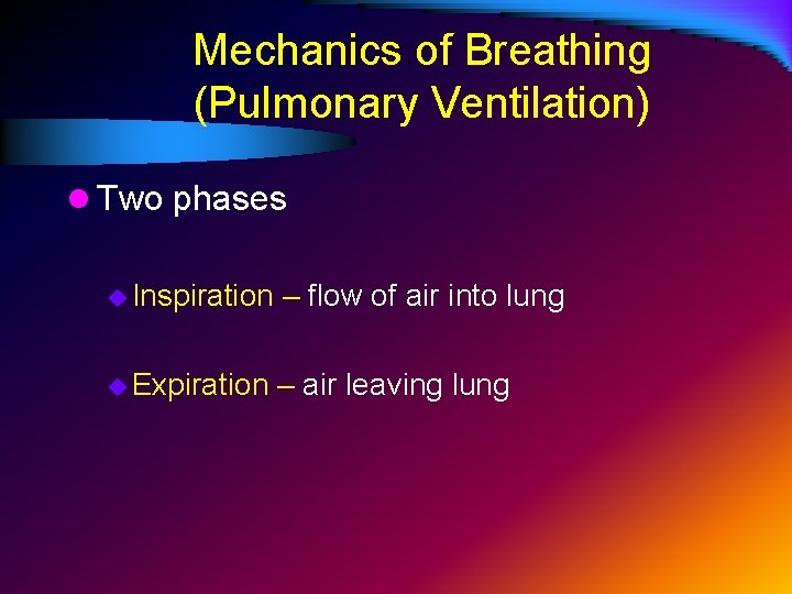 Mechanics of Breathing (Pulmonary Ventilation) l Two phases u Inspiration – flow of air