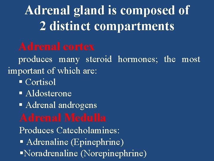 Adrenal gland is composed of 2 distinct compartments Adrenal cortex produces many steroid hormones;