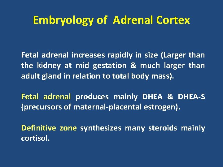 Embryology of Adrenal Cortex Fetal adrenal increases rapidly in size (Larger than the kidney