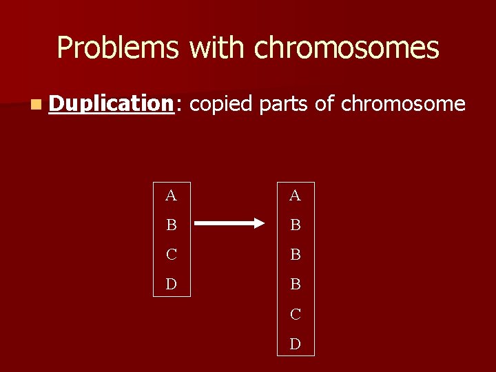 Problems with chromosomes n Duplication: copied parts of chromosome A A B B C