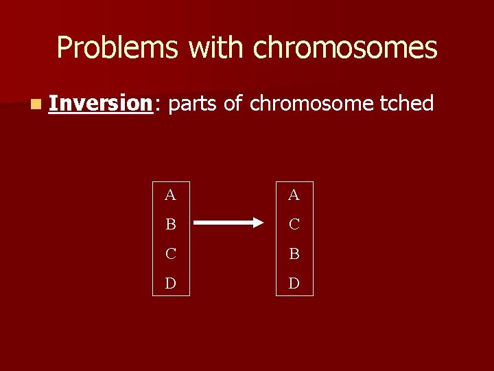 Problems with chromosomes n Inversion: parts of chromosome tched A A B C C