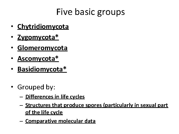  Five basic groups • • • Chytridiomycota Zygomycota* Glomeromycota Ascomycota* Basidiomycota* • Grouped