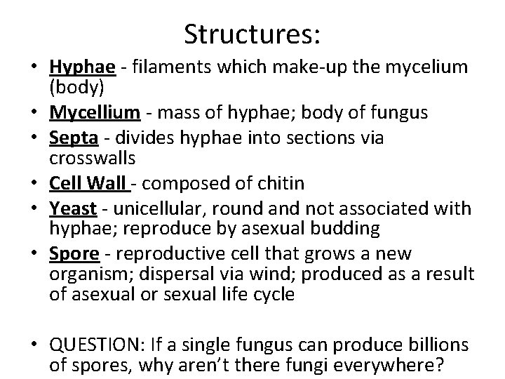 Structures: • Hyphae - filaments which make-up the mycelium (body) • Mycellium - mass