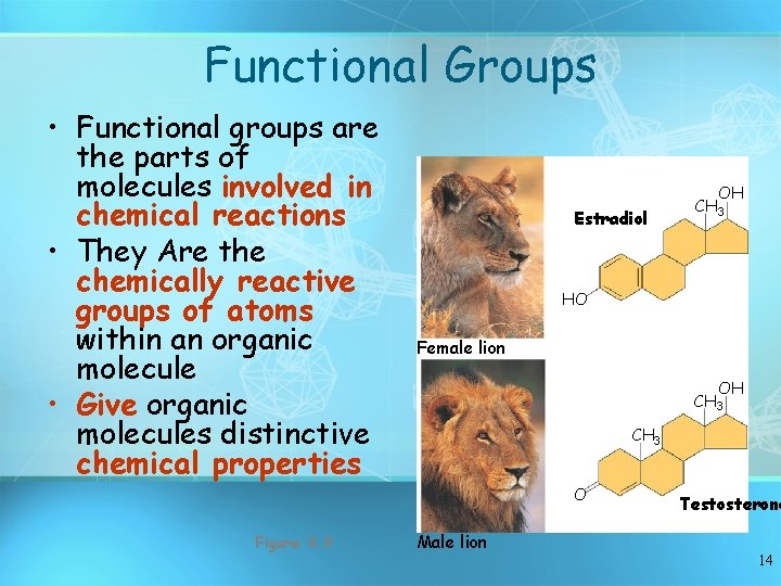 Functional Groups • Functional groups are the parts of molecules involved in chemical reactions