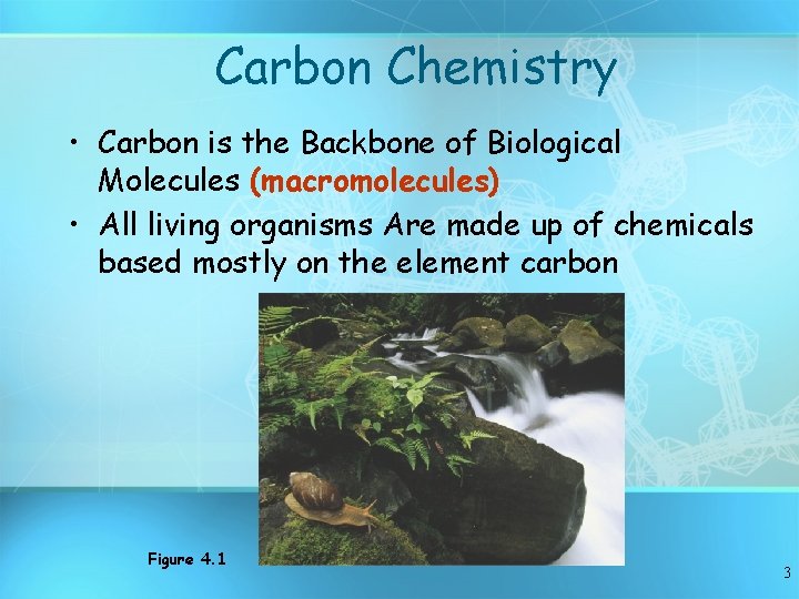 Carbon Chemistry • Carbon is the Backbone of Biological Molecules (macromolecules) • All living