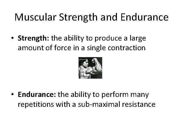 Muscular Strength and Endurance • Strength: the ability to produce a large amount of
