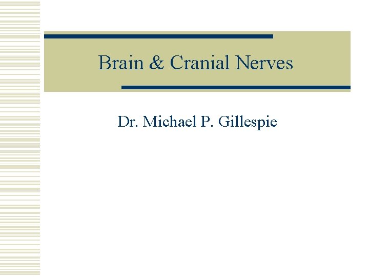 Brain & Cranial Nerves Dr. Michael P. Gillespie 