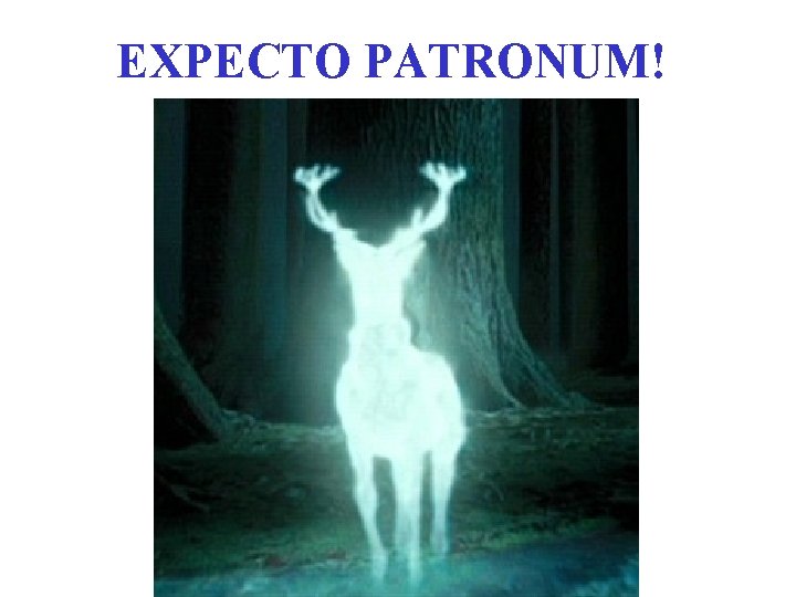 EXPECTO PATRONUM! 