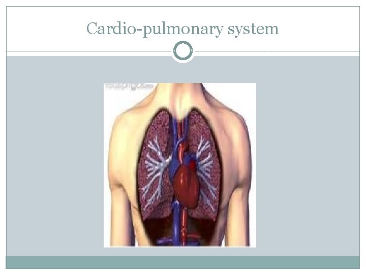 Cardio-pulmonary system 