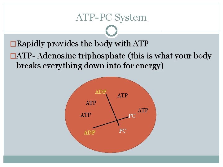 ATP-PC System �Rapidly provides the body with ATP �ATP- Adenosine triphosphate (this is what