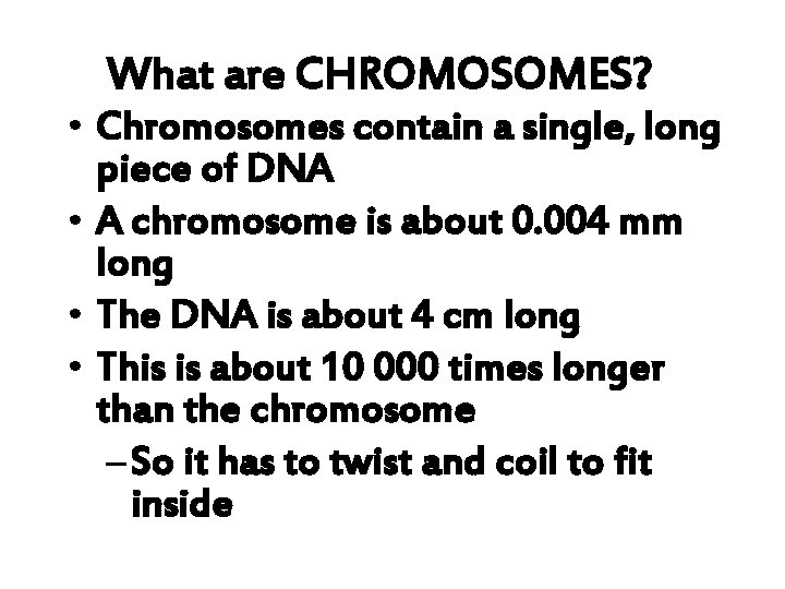 What are CHROMOSOMES? • Chromosomes contain a single, long piece of DNA • A