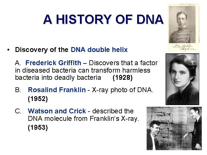 A HISTORY OF DNA • Discovery of the DNA double helix A. Frederick Griffith