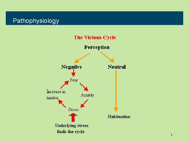 Pathophysiology 