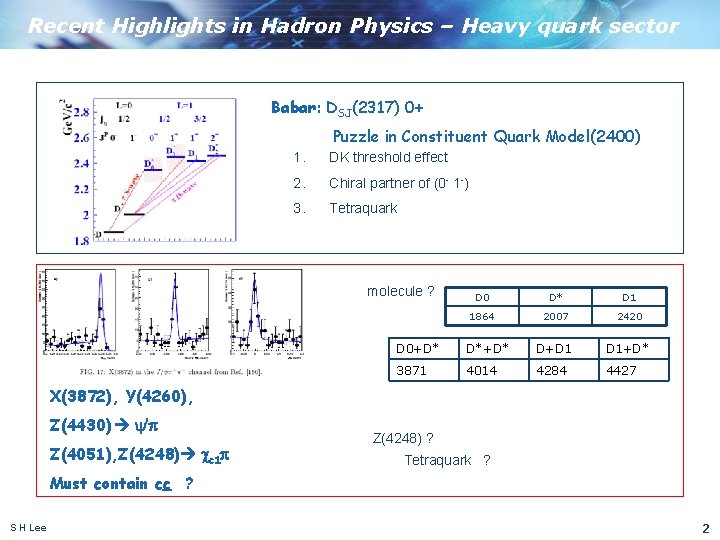 Recent Highlights in Hadron Physics – Heavy quark sector Babar: DSJ(2317) 0+ Puzzle in