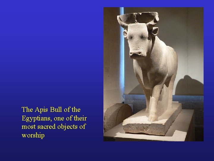 The Apis Bull of the Egyptians, one of their most sacred objects of worship