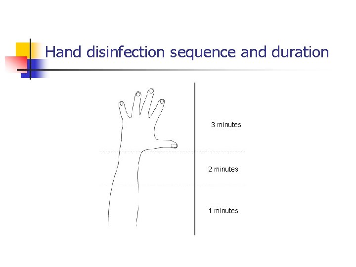 Hand disinfection sequence and duration 3 minutes 2 minutes 1 minutes 