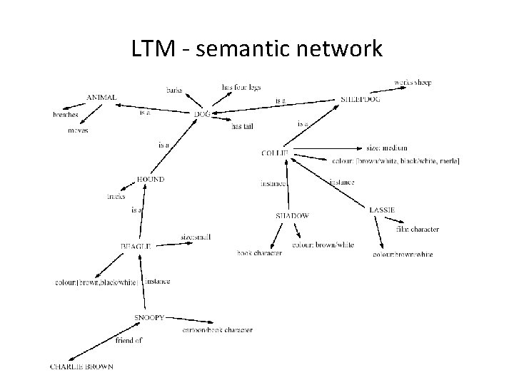 LTM - semantic network 