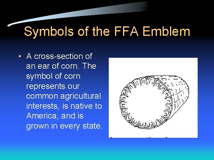 Symbols of the FFA Emblem • A cross-section of an ear of corn. The Symbols of the FFA Emblem • A cross-section of an ear of corn. The