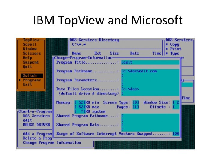 IBM Top. View and Microsoft 