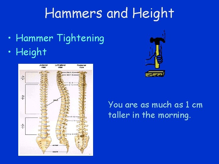 Hammers and Height • Hammer Tightening • Height You are as much as 1