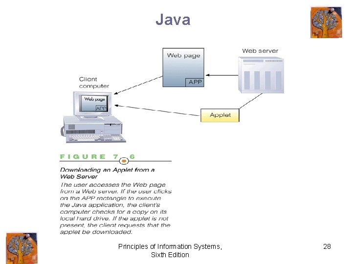 Java Principles of Information Systems, Sixth Edition 28 