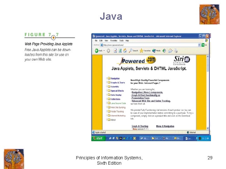 Java Principles of Information Systems, Sixth Edition 29 