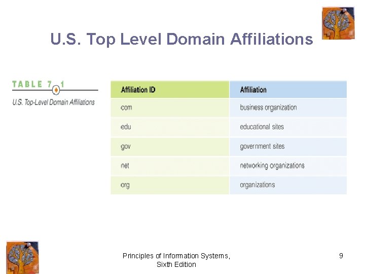 U. S. Top Level Domain Affiliations Principles of Information Systems, Sixth Edition 9 