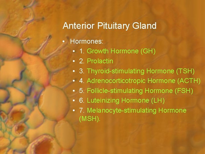 Anterior Pituitary Gland • Hormones: • 1. Growth Hormone (GH) • 2. Prolactin •