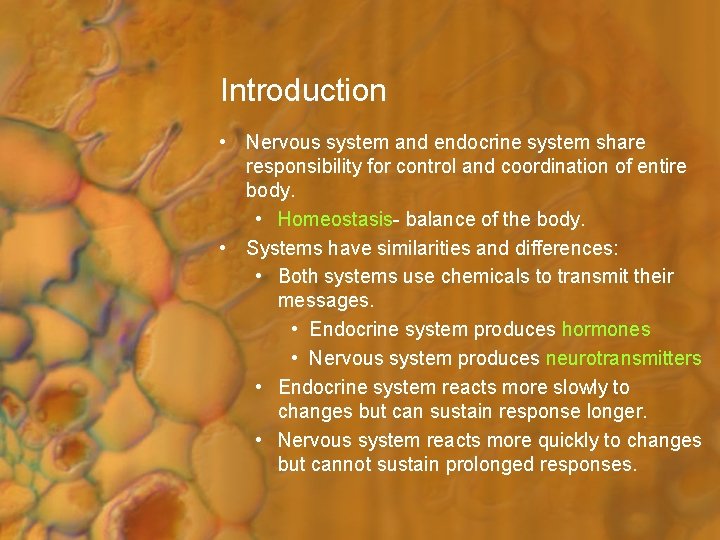Introduction • Nervous system and endocrine system share responsibility for control and coordination of