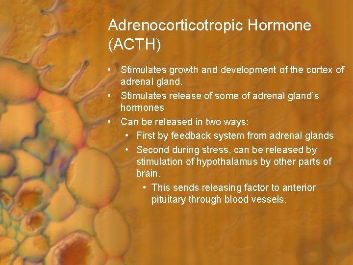 Adrenocorticotropic Hormone (ACTH) • Stimulates growth and development of the cortex of adrenal gland.