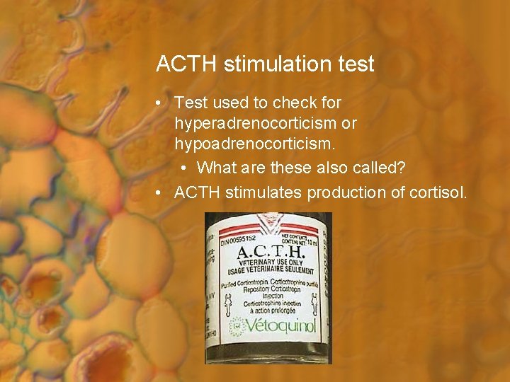 ACTH stimulation test • Test used to check for hyperadrenocorticism or hypoadrenocorticism. • What